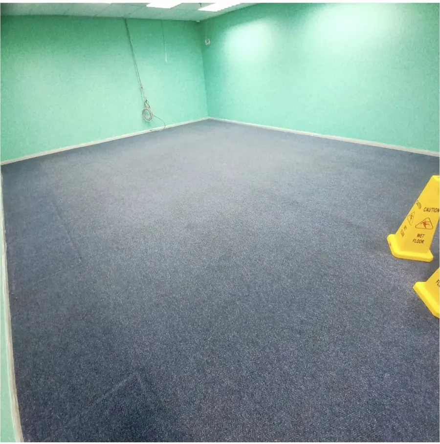 Office carpet after deep cleaning, uniform colour with no marks